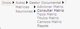 consulta_matriz_00.png